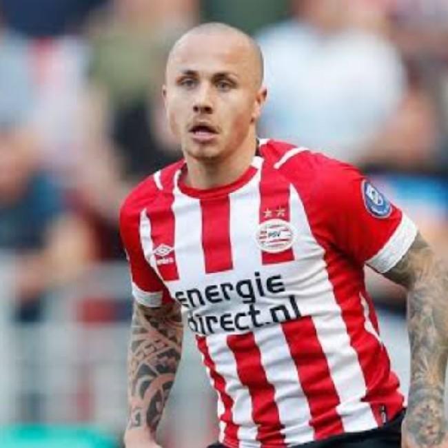 Angeliño