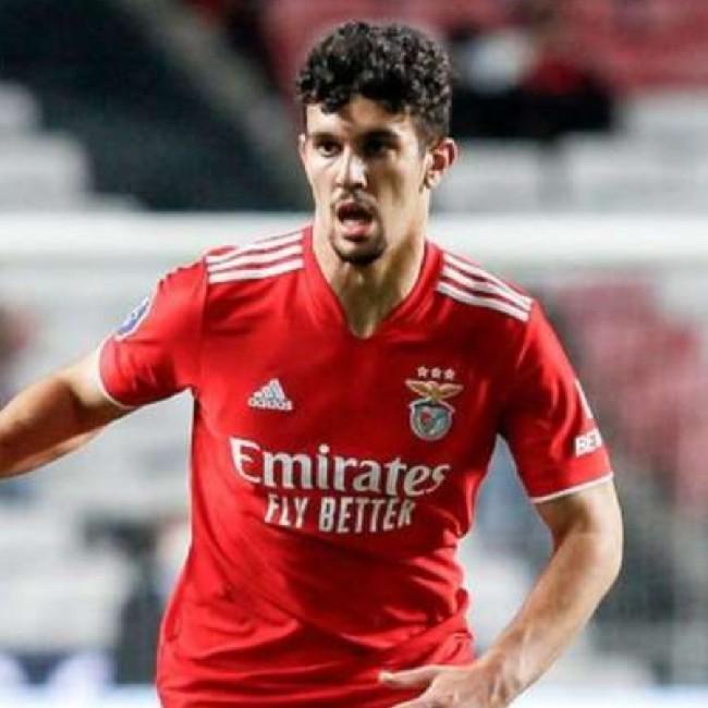 Tomás Araújo