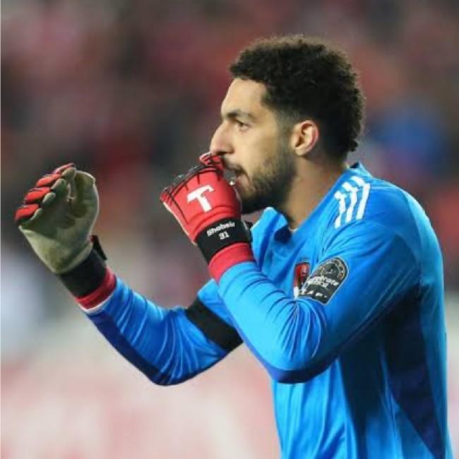 Mostafa Shobeir