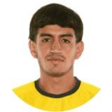 Nicolas Palavecinos