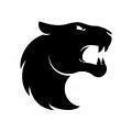 FURIA Esports