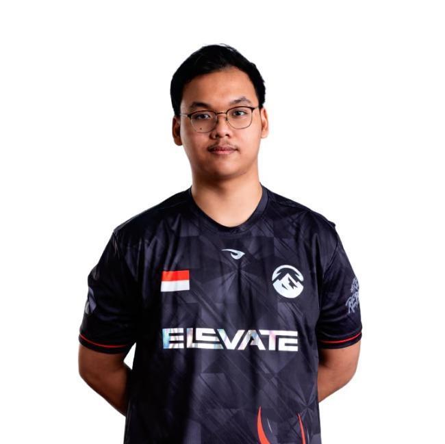 Ape