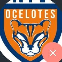 OCELOTES