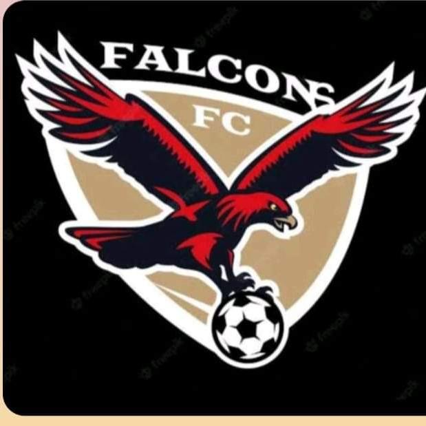 Falcons