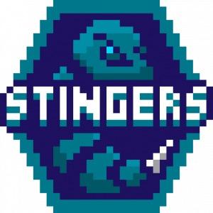 Charlotte Stingers