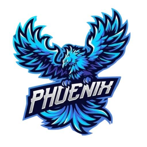 Team Phoenix
