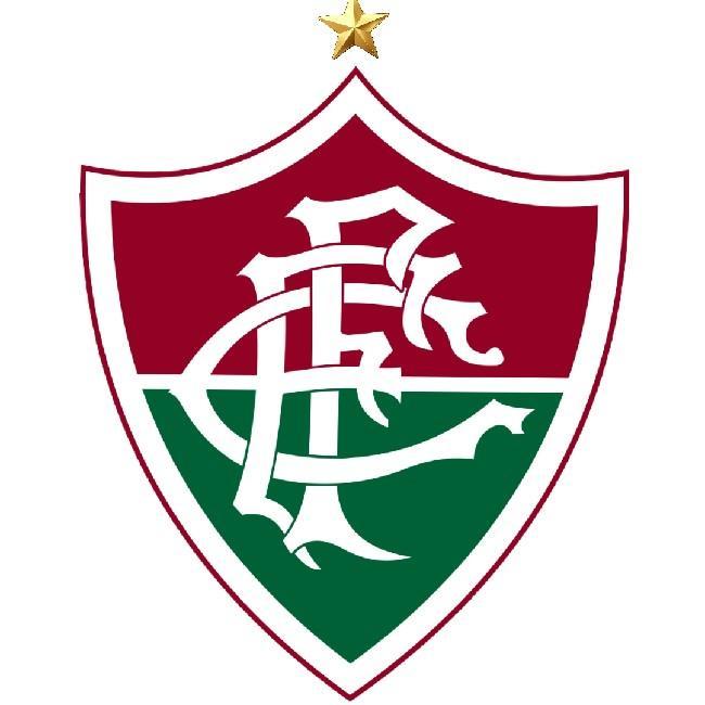 🇧🇷 Fluminense F.C.