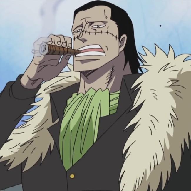 DC1. Crocodile. DINA27