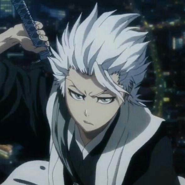 TP2. Toshiro Jr. JAPA22