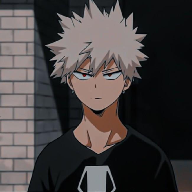 MT1. Bakugou Jr. ALEM27