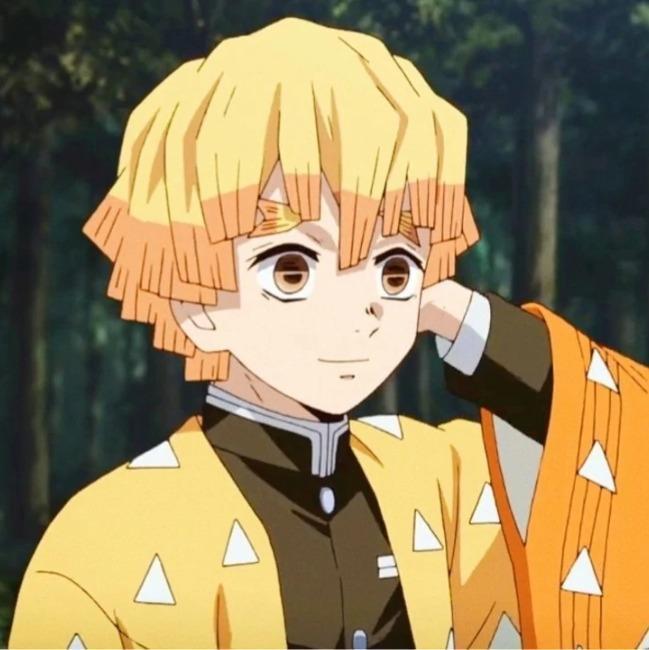 TL1. Zenitsu Jr. FRAC28