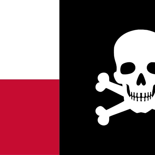 Polsza Republika Michalowic