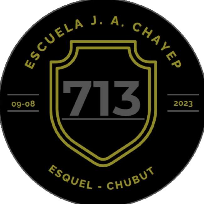 Escuela 713