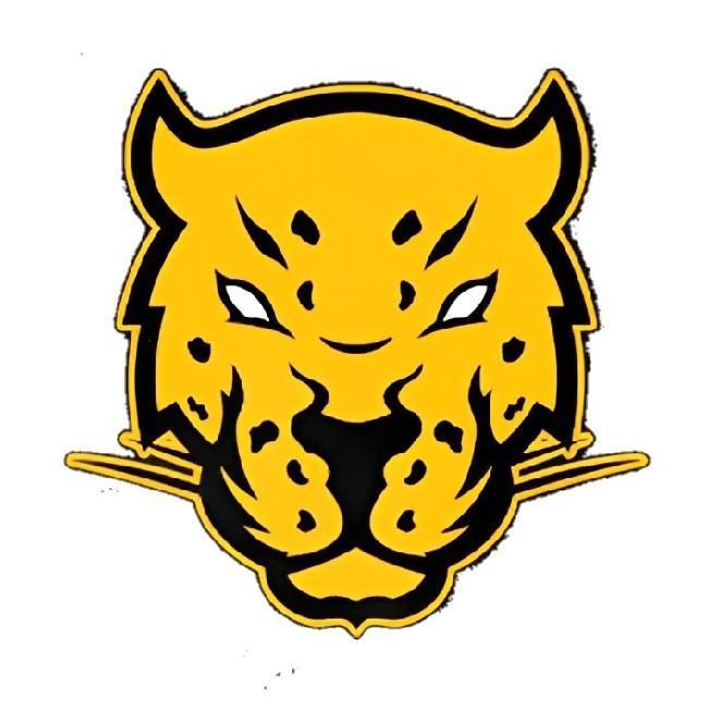 Jaguares Esports