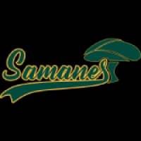 LOS SAMANES