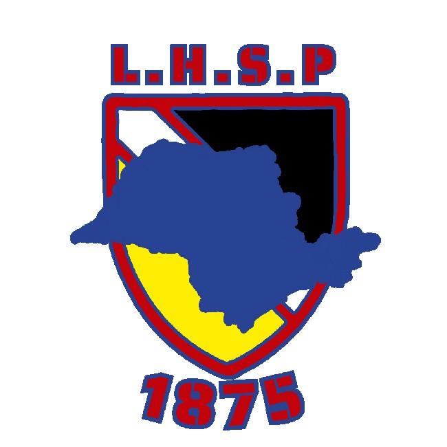 Liga de Haxball de São Paulo - LHSP