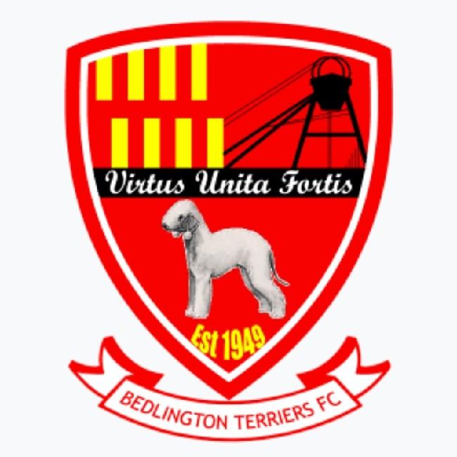 Bedlington Terriers