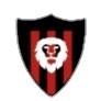 Los Onze FC
