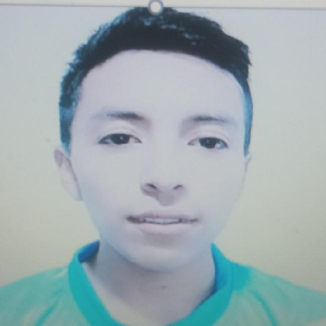 Dennis Saul Davila Chisaguano