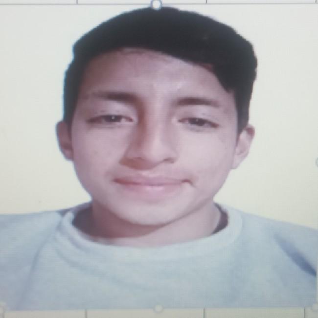 Marlon Manuel Alvarez Guallpa