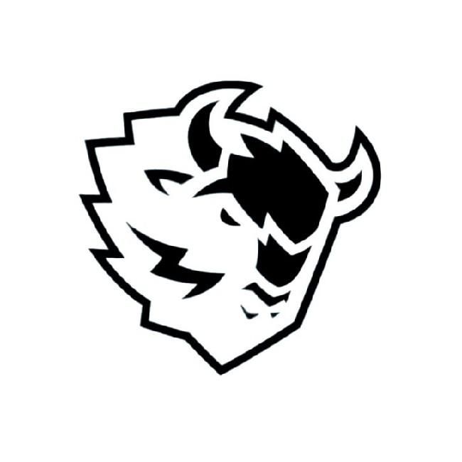 «Dinamo»