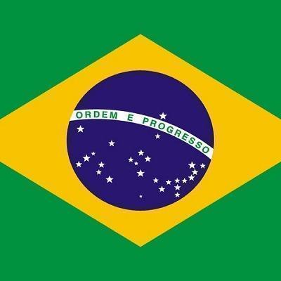 Pantera Negra 🇧🇷