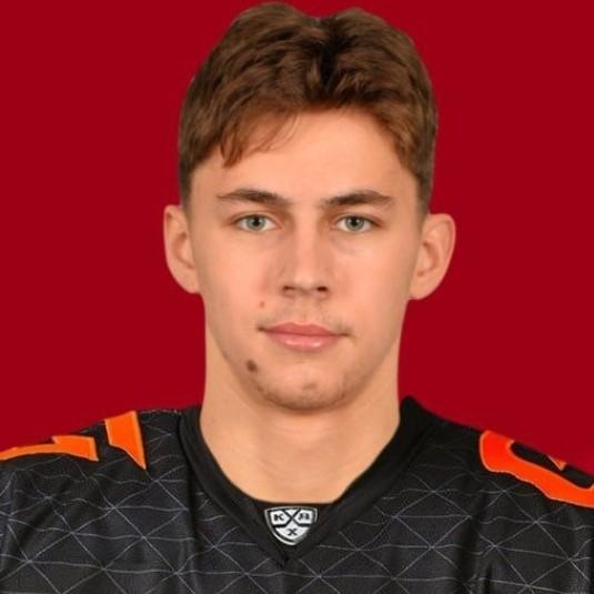 Дмитрий Ворошилов