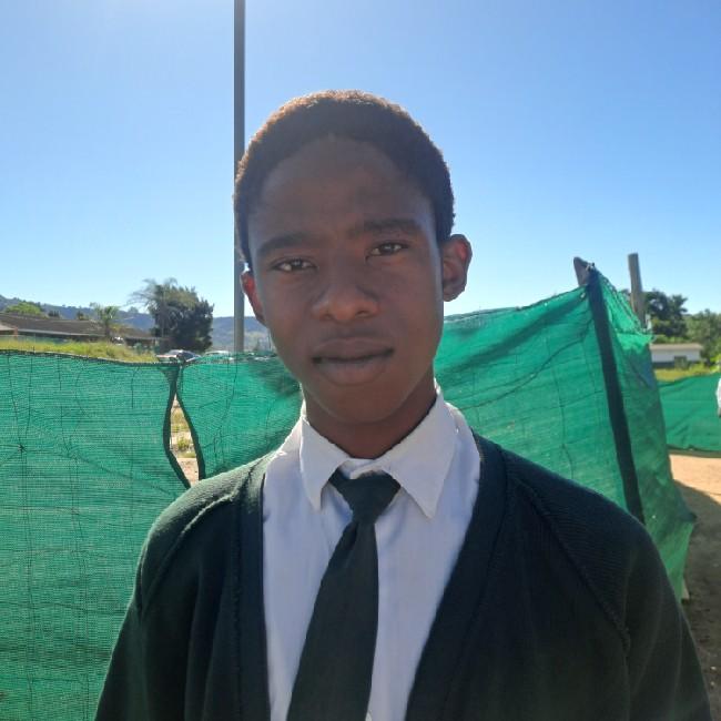Msomi Vuyani