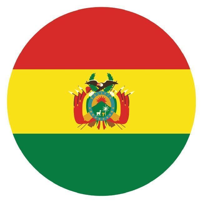 🇧🇴 Gonçalo Bile