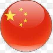 🇨🇳 Paulo Ferreira