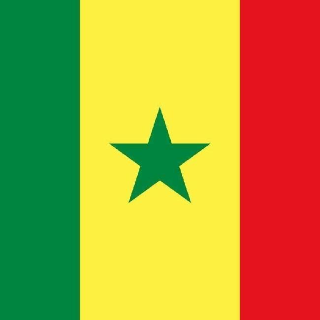 🇸🇳 Guilherme