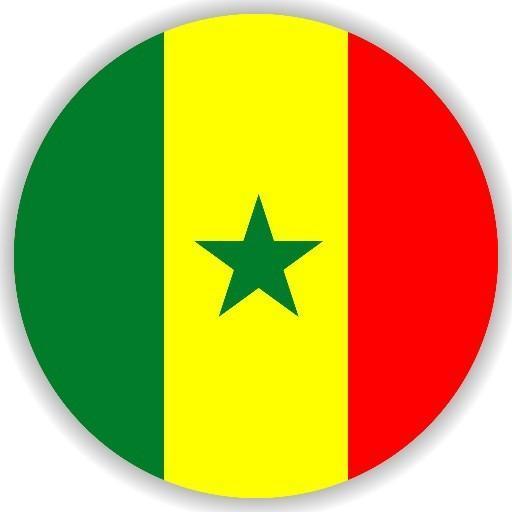 🇸🇳 Gabriel Freitas