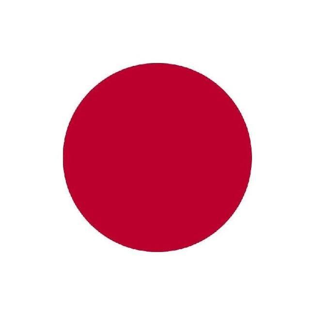 🇯🇵 Takefusa Dudu