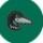 Great lake loons