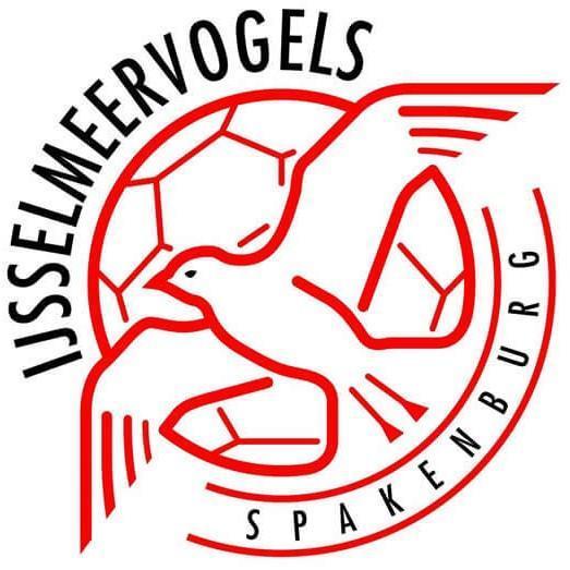 Ijsselmeervogels 023-1