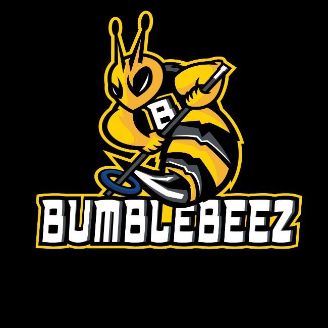 BumbleBeez U12