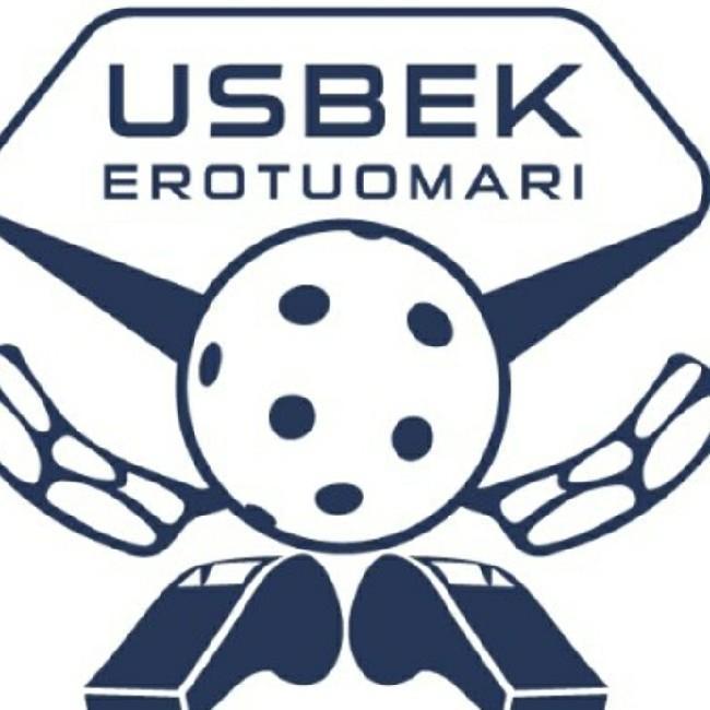Jääkiekkopallo 2