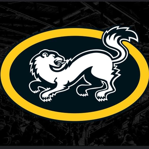 Kärpät