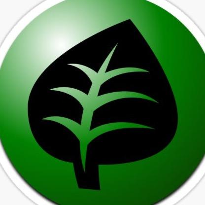 grass