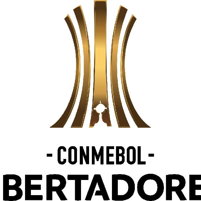 Libertadores 2025