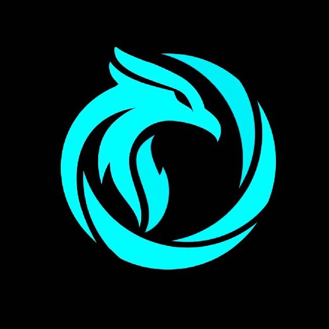 17 ESPORTS