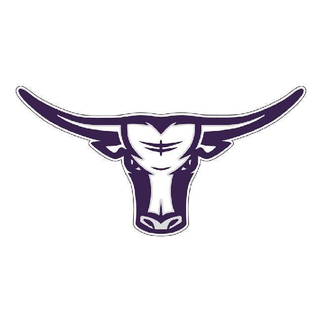 Longhorns