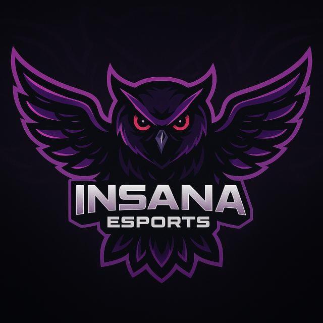 INSANA ESPORTS