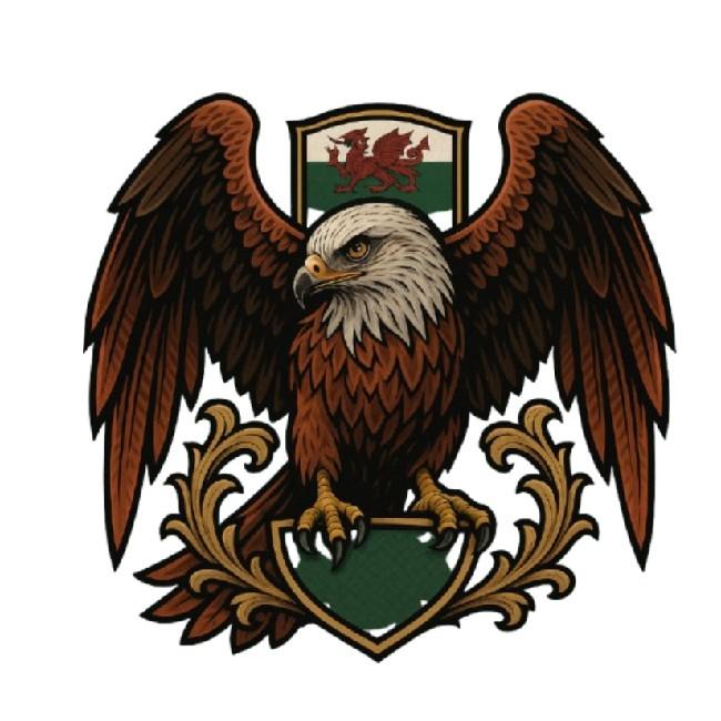 Cardiff Kites