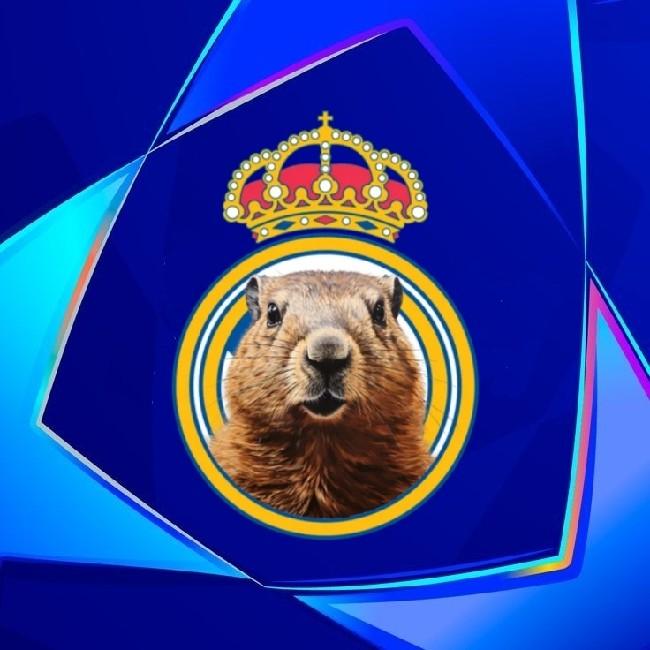 Real Marmotas