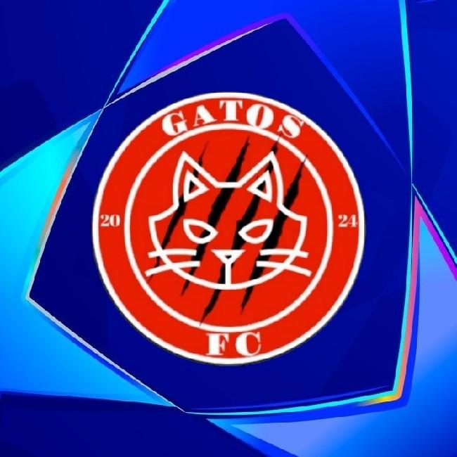 Gatos