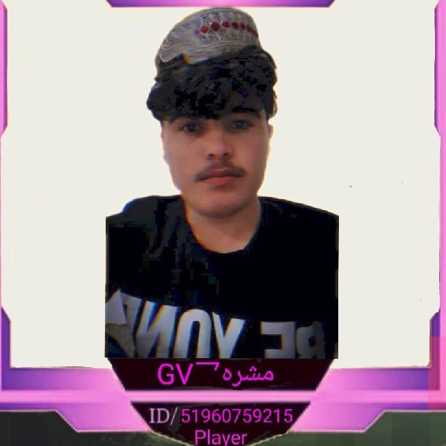 GV乛مشره