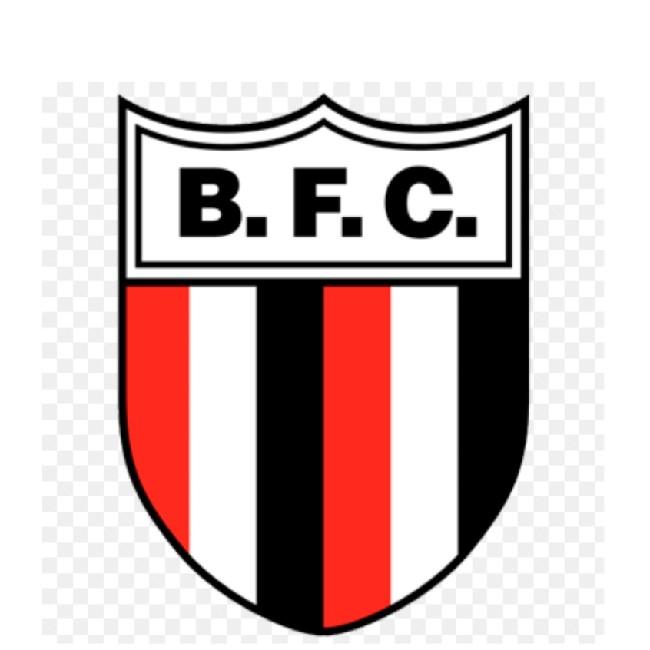 Botafogo SP