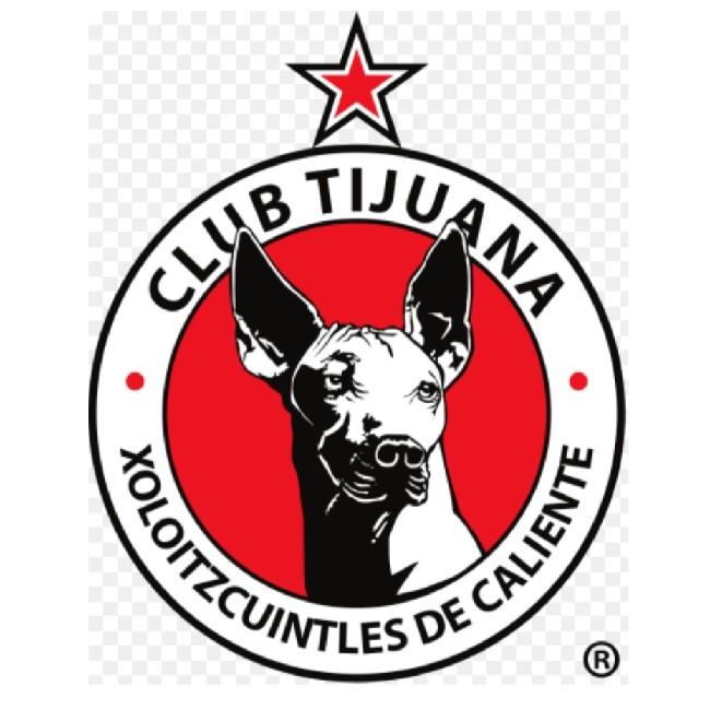 Tijuana Xoloitzcuintles