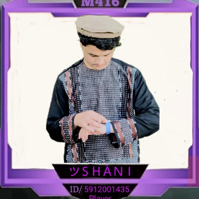 ツＳＨＡ́ＮＩ